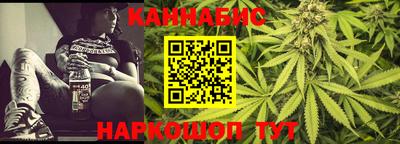 шишки Владимир