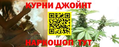 гашик Дубна