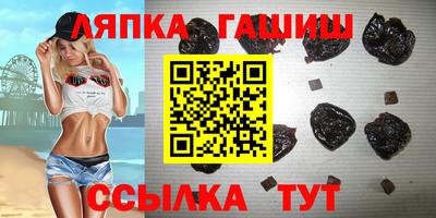 гашик Дубна